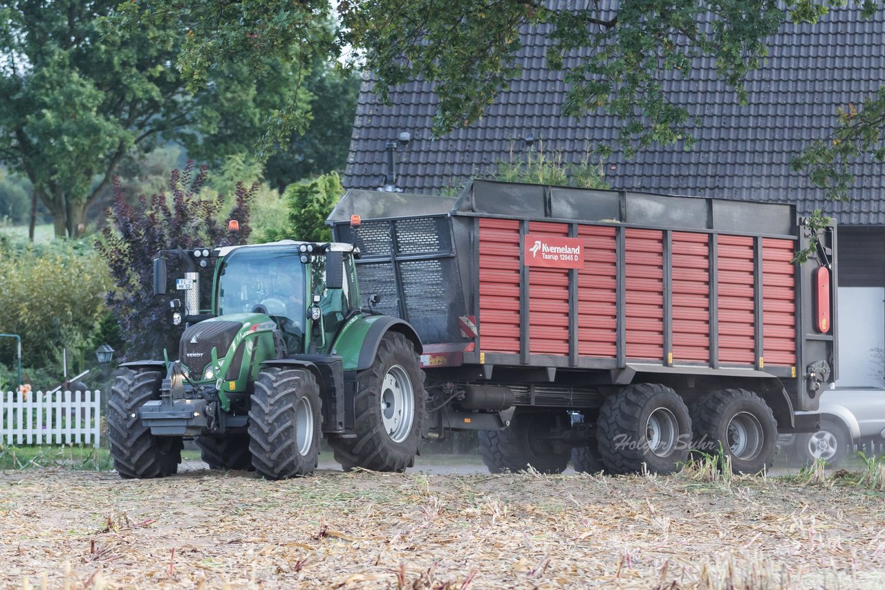 Bild 81 - Maisernte 2016